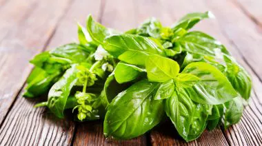 garnishing-instructions-image